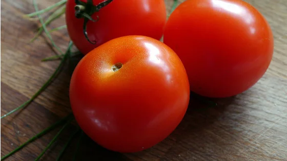 Tomato